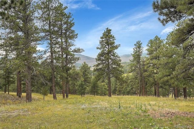 view of nature featuring a mountain view