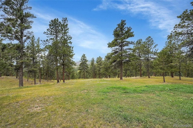 440 La Hermosa Dr, Bellvue, CO 80512 - photo 29
