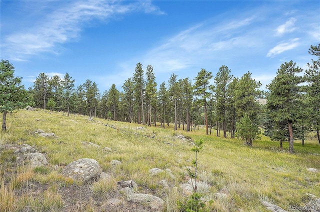 440 La Hermosa Dr, Bellvue, CO 80512 - photo 39