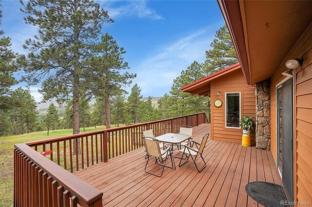 440 La Hermosa Dr, Bellvue, CO 80512 - photo 23