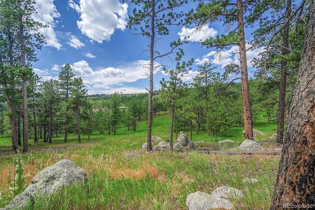 440 La Hermosa Dr, Bellvue, CO 80512 - photo 24