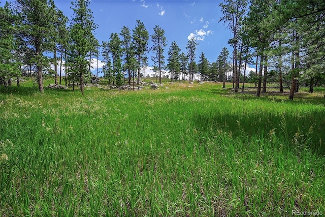 440 La Hermosa Dr, Bellvue, CO 80512 - photo 40