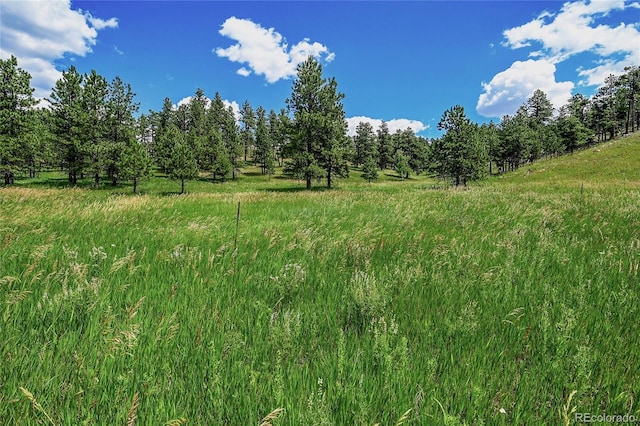 440 La Hermosa Dr, Bellvue, CO 80512 - photo 41