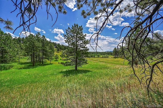 440 La Hermosa Dr, Bellvue, CO 80512 - photo 42