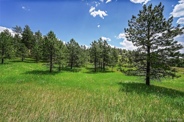 440 La Hermosa Dr, Bellvue, CO 80512 - photo 43