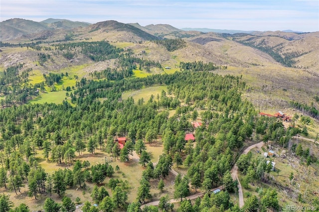 440 La Hermosa Dr, Bellvue, CO 80512 - photo 44