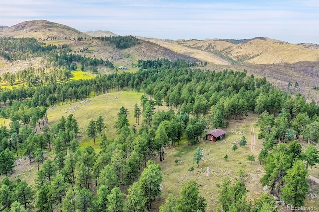 440 La Hermosa Dr, Bellvue, CO 80512 - photo 46