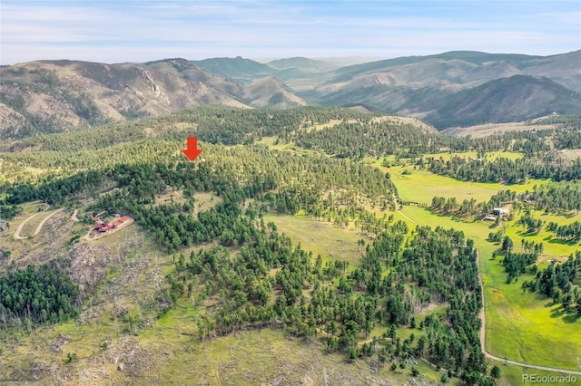 440 La Hermosa Dr, Bellvue, CO 80512 - photo 47