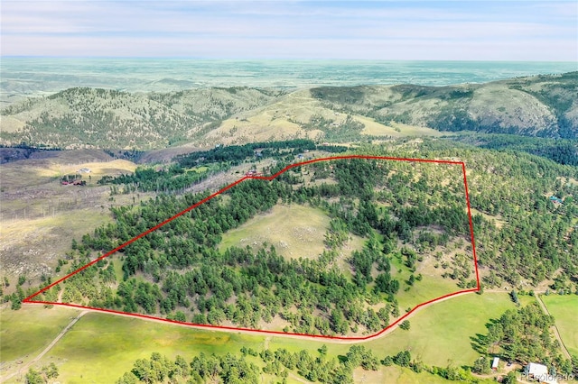 440 La Hermosa Dr, Bellvue, CO 80512 - photo 48