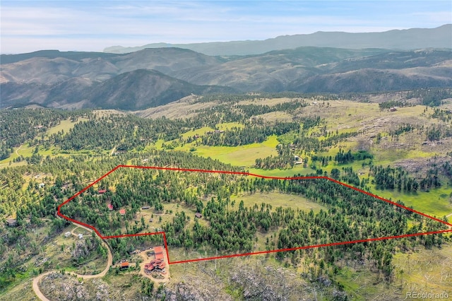 440 La Hermosa Dr, Bellvue, CO 80512 - photo 49