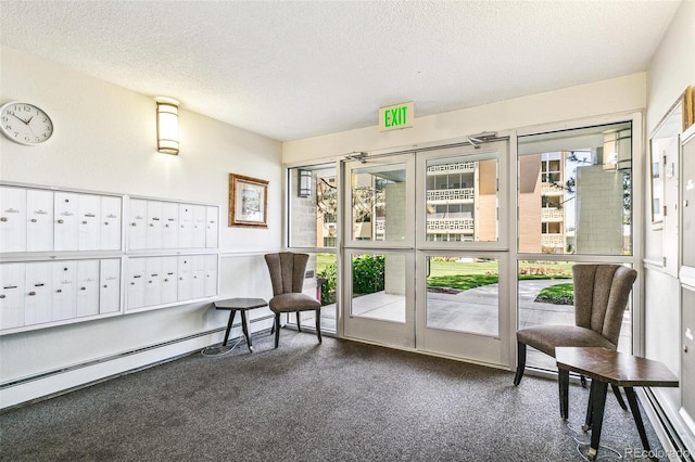 725 S Alton Way Unit 9C, Denver, CO 80247 - living area with mail area, plenty of natural light, carpet floors, a textured ceiling, and baseboard heating