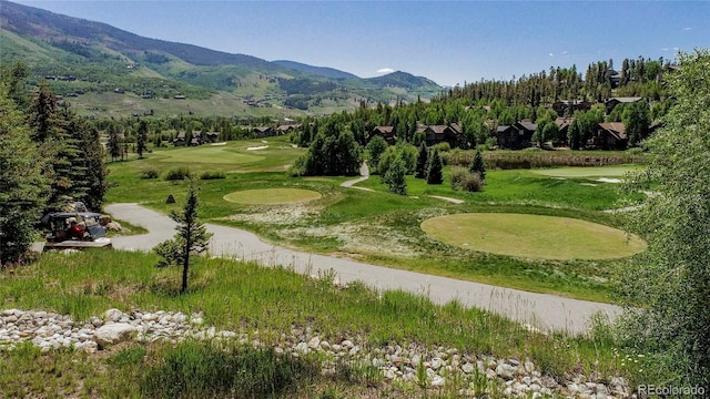328 Raven Golf Ln, Silverthorne, CO 80498