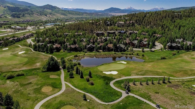 328 Raven Golf Ln, Silverthorne, CO 80498
