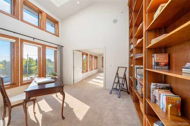 interior space featuring light colored carpet and high vaulted ceiling