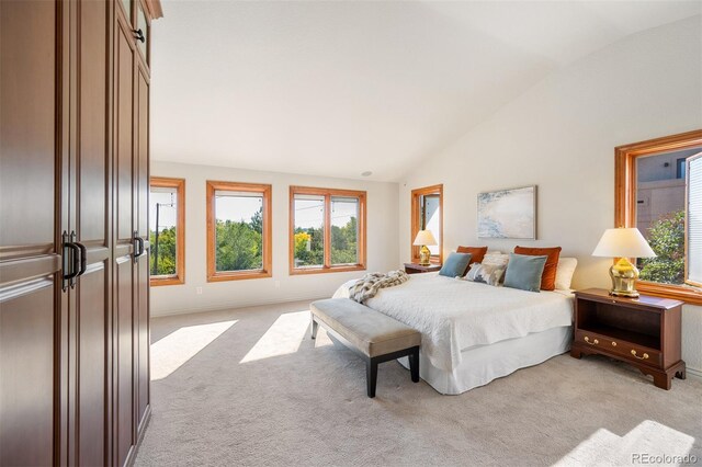 bedroom with lofted ceiling and light colored carpet