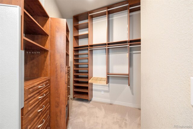 spacious closet featuring light carpet