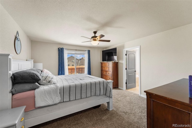6519 Weiser Dr, Colorado Springs, CO 80925 - photo 18