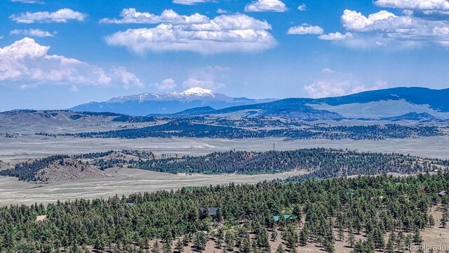 441 Kaufman Rd, Hartsel, CO 80449 - photo 47