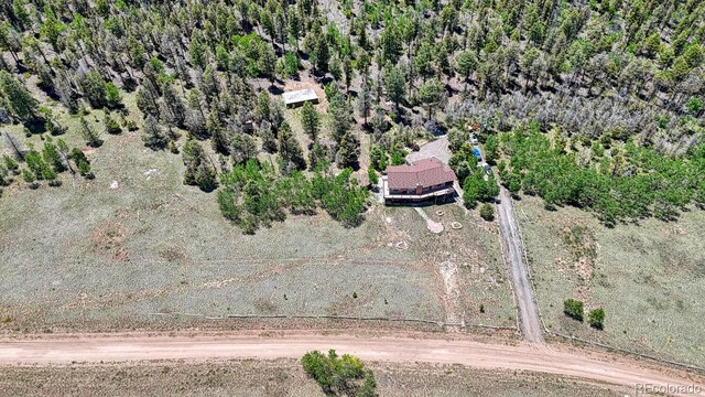 441 Kaufman Rd, Hartsel, CO 80449 - photo 49