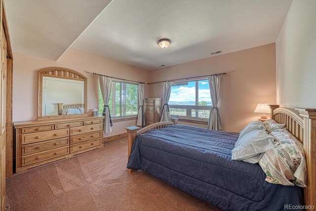 441 Kaufman Rd, Hartsel, CO 80449 - photo 15