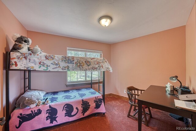 441 Kaufman Rd, Hartsel, CO 80449 - photo 31