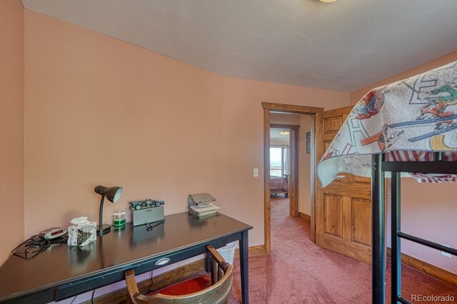441 Kaufman Rd, Hartsel, CO 80449 - photo 32