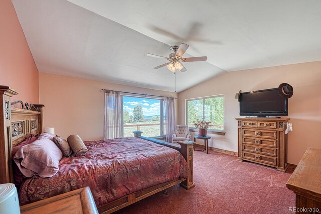 441 Kaufman Rd, Hartsel, CO 80449 - photo 33