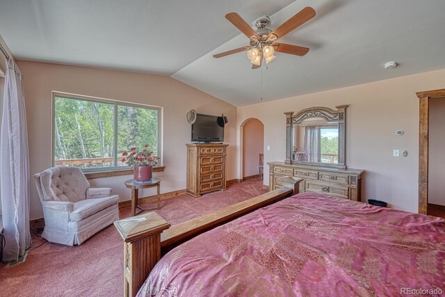 441 Kaufman Rd, Hartsel, CO 80449 - photo 34