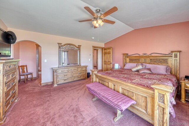 441 Kaufman Rd, Hartsel, CO 80449 - photo 35
