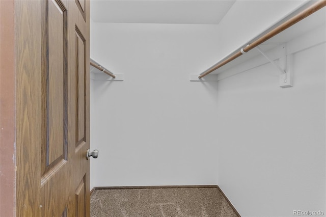 8441 S Timberwood St, Highlands Ranch, CO 80126 - spacious closet with carpet flooring