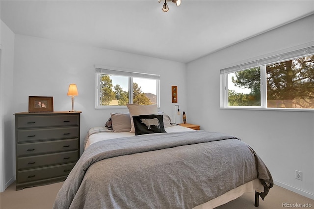 29858 Gigi Dr, Evergreen, CO 80439 - bedroom featuring carpet floors and multiple windows
