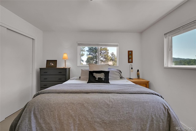 29858 Gigi Dr, Evergreen, CO 80439 - bedroom with a closet