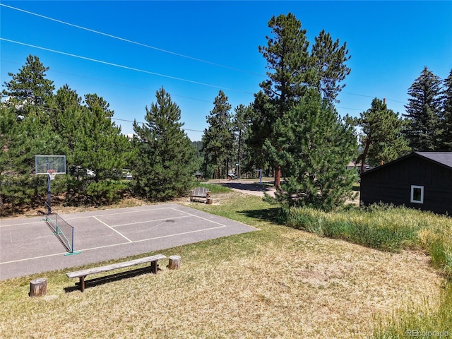 29858 Gigi Dr, Evergreen, CO 80439 - view of green lawn featuring community basketball court