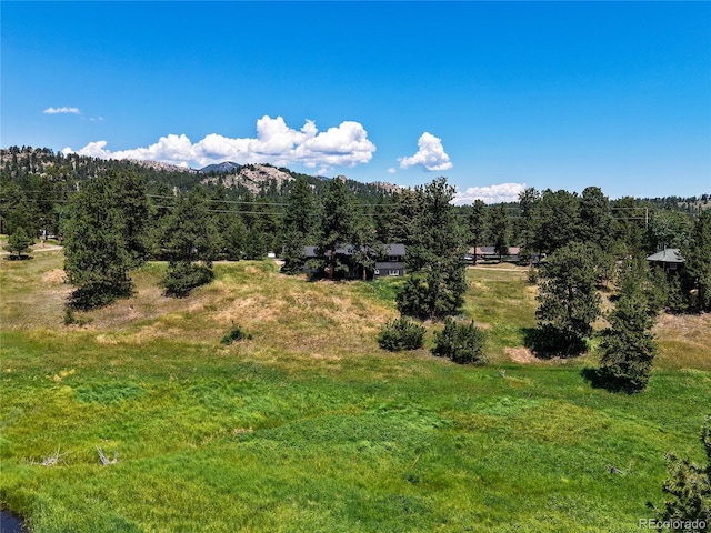 29858 Gigi Dr, Evergreen, CO 80439 - view of mountain background with a heavily wooded area