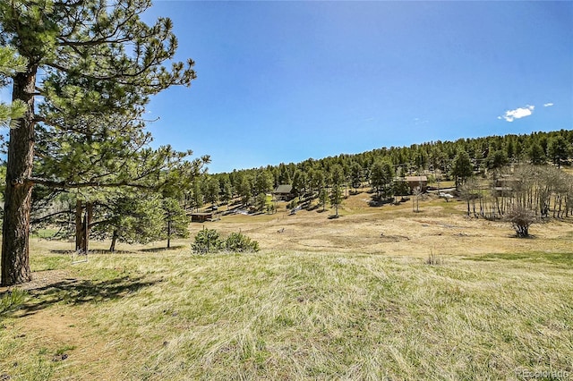 29858 Gigi Dr, Evergreen, CO 80439 - view of woods featuring a rural view