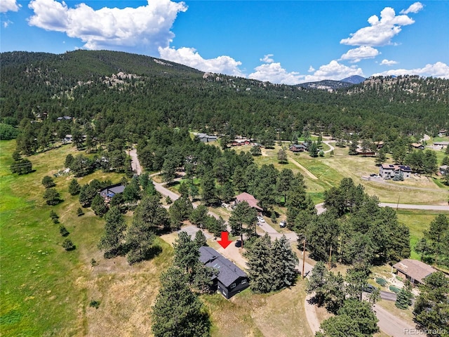 29858 Gigi Dr, Evergreen, CO 80439 - view of property location featuring a forest and mountains