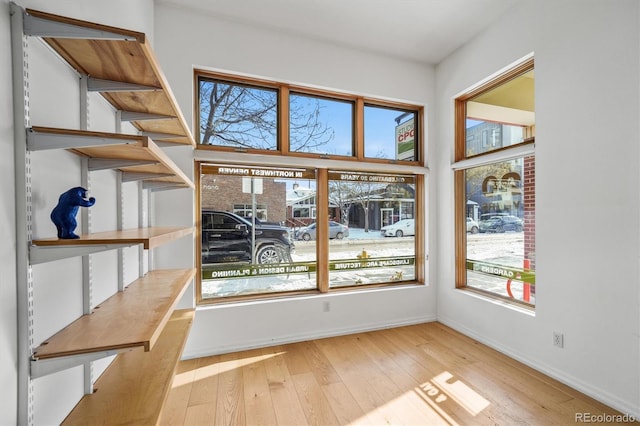 interior space with a healthy amount of sunlight and light hardwood / wood-style floors