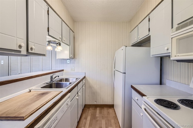 kitchen featuring light hardwood / wood-style flooring, sink, white appliances, a textured ceiling, and white cabinets