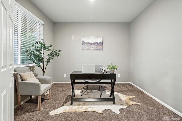 4439 S Valdai Way, Aurora, CO 80015 - photo 16