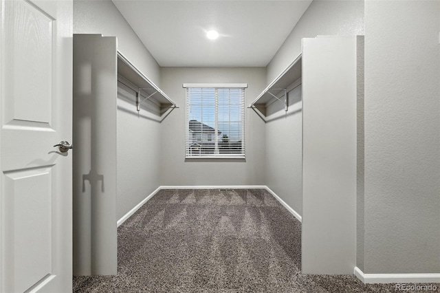 4439 S Valdai Way, Aurora, CO 80015 - photo 21