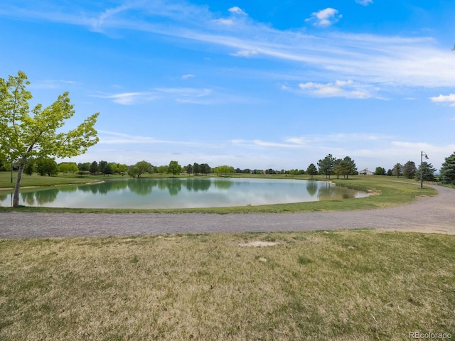 16448 E 111th Pl, Commerce City, CO 80022 - water view