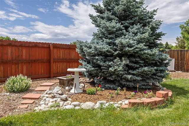 1245 Ceres Dr, Lafayette, CO 80026 - view of yard