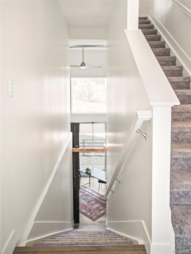 staircase featuring wood finished floors and baseboards