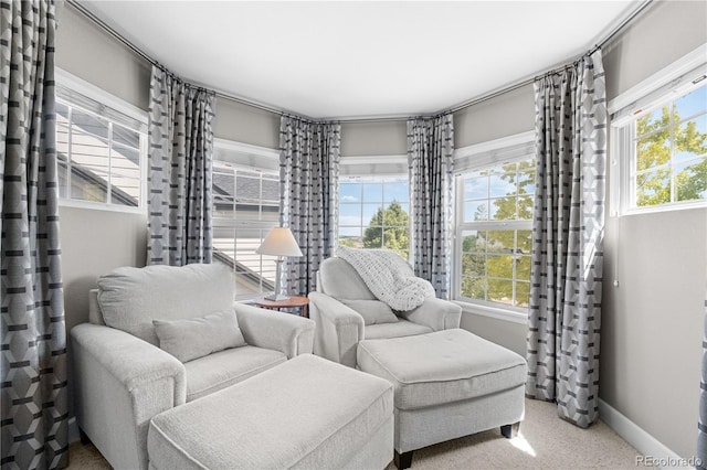 16207 Cadland Ct, Parker, CO 80134 - sitting room with healthy amount of natural light and carpet flooring
