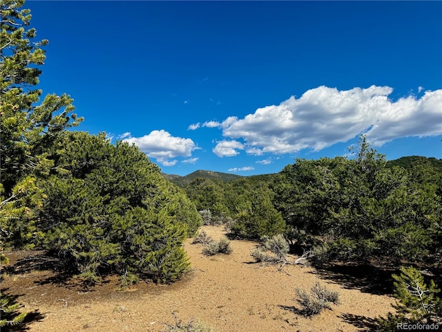 Listing photo 2 for LOT1522 Dunn Rd, San Luis CO 81152