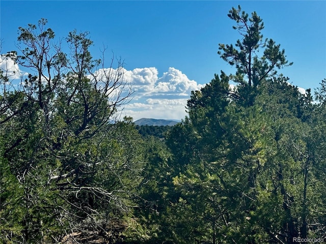 LOT1522 Dunn Rd, San Luis, CO 81152 - photo 3