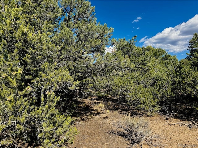 LOT1522 Dunn Rd, San Luis, CO 81152 - photo 4