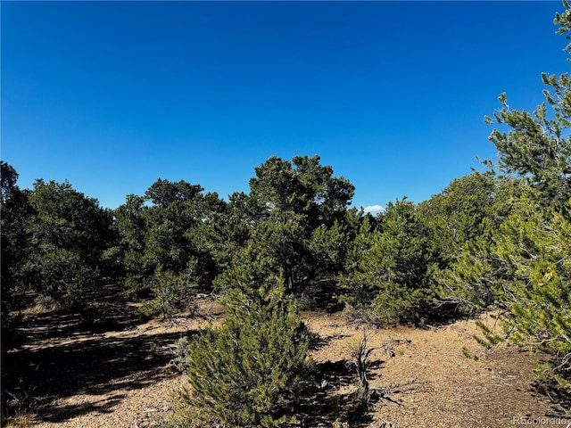 LOT1522 Dunn Rd, San Luis, CO 81152 - photo 5