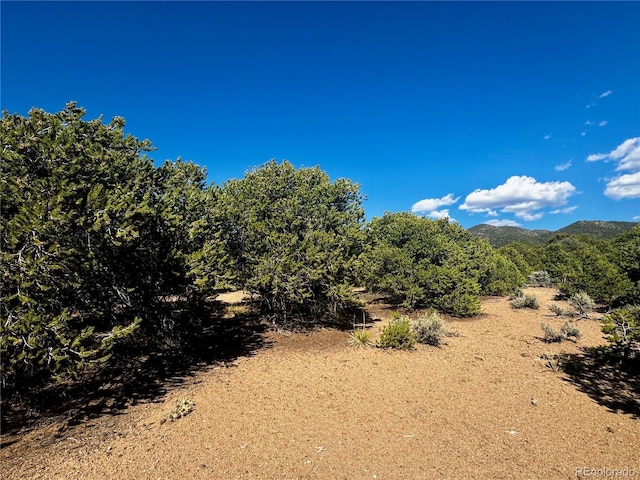 LOT1522 Dunn Rd, San Luis, CO 81152 - photo 6