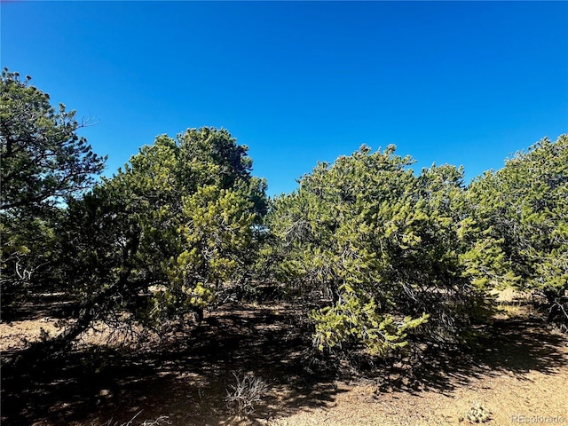 LOT1522 Dunn Rd, San Luis, CO 81152 - photo 7